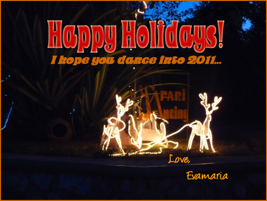 Happy holidays - I hope you dance into 2011! Love, Evamaria